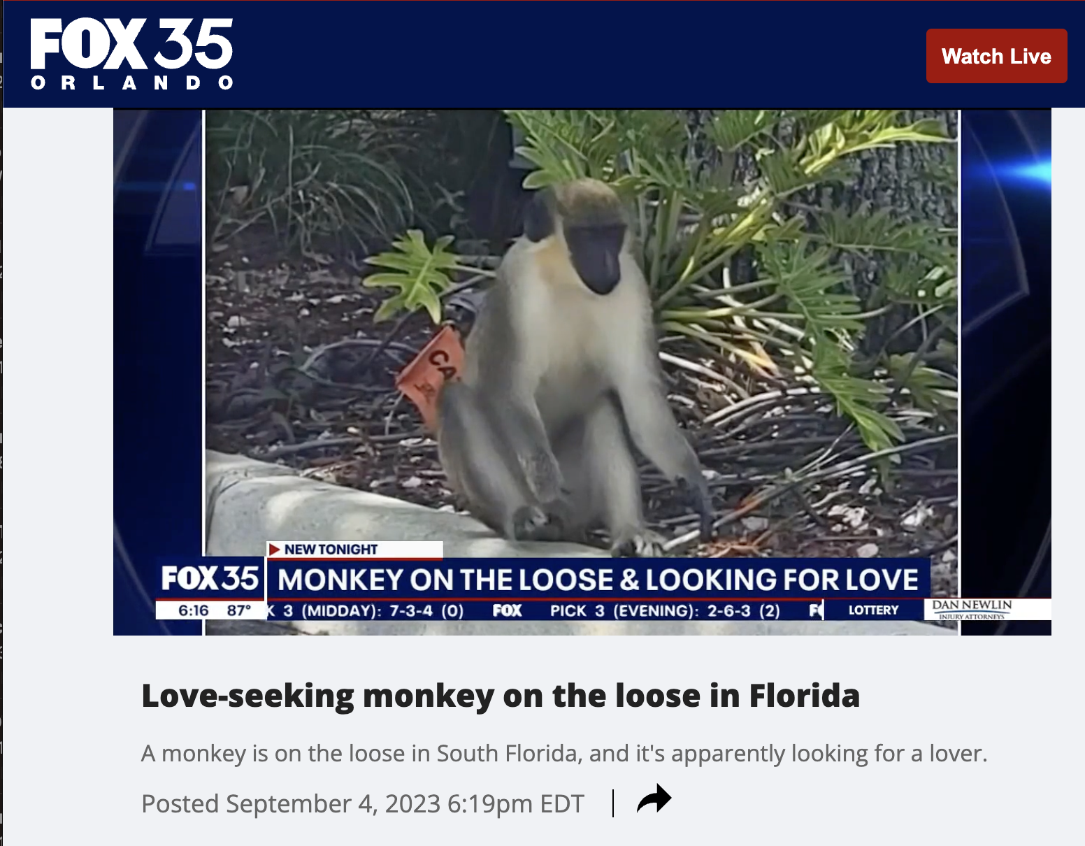 ninja joe monkey - Fox 35 Orlando Watch Live New Tonight Fox 35 Monkey On The Loose & Looking For Love 87 3 Midday 734 0 Fox Pick 3 Evening 263 2 Flottery Loveseeking monkey on the loose in Florida Dan Newlin A monkey is on the loose in South Florida, and